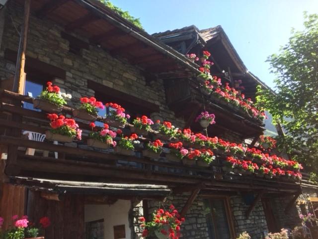 Le P'Tit Coin Montagne Apartment Bonneval-sur-Arc Bagian luar foto
